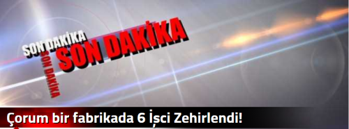 Çorum bir fabrikada 6 İşci Zehirlendi!