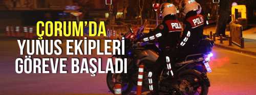 Çorum Cadde ve Sokakları Yunuslara Emanet