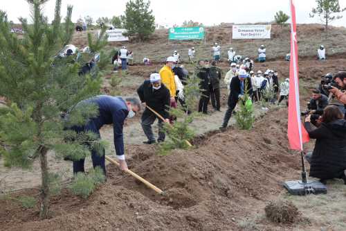 Çorum’da 1 milyon 590 bin fidan toprakla buluştu