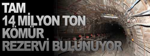 Çorum'da 14 milyon ton kömür rezervi var
