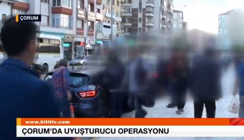 Çorum'da Bonzai Operasyonu