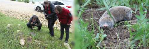 Çorum'da bu çalışma Türkiye’de bir ilk