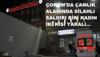 ÇORUM'DA ÇAMLIK ALANINDA SİLAHLI SALDIRI BİRİ KADIN İKİ YARALI