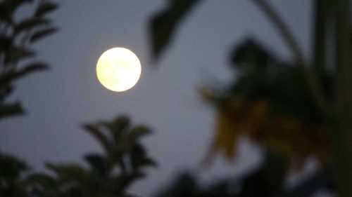 Çorum'da izlenen dolunay görenleri hayran bıraktı!