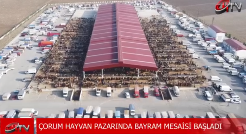 Çorum'da Kurban Bayramı Mesaisi Başladı! 