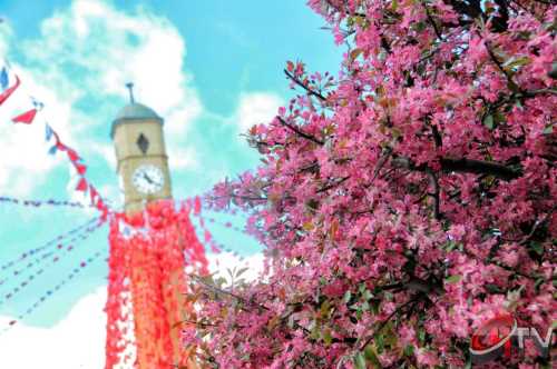 Çorum'da Nevruz Kutlaması bu gün