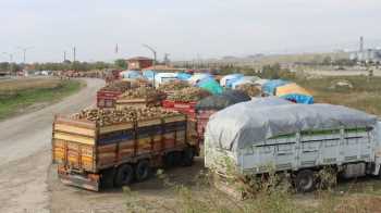  ÇORUM’DA PANCAR KUYRUĞU OLUŞTU