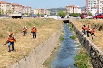 ÇORUM’DA SİNEKLE MÜCADELE ÇALIŞMASI SÜRÜYOR