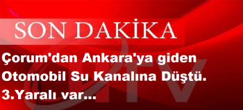 Çorum'dan Ankara'ya giden Otomobil Su Kanalına Düştü