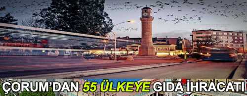 Çorum'dan Avrupa ülkeleri başta olmak üzere çok sayıda ülkeye 175 milyon TL'lik ihracat yapıldı.