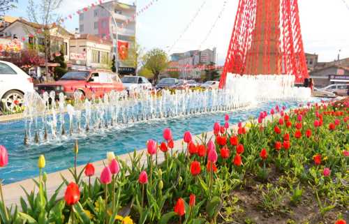 Çorum İçin  Üç Projem Var