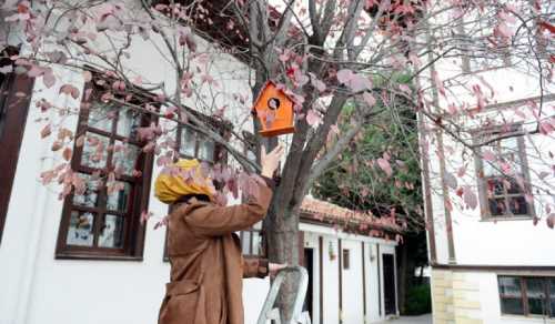 Çorum Kadın Kültür Merkezi’nden duyarlı hareket