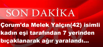 Çorum Kalede Eşini 7 Yerinden Bıçakladı