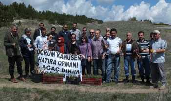 Çorum Kamu-sen 250 fidanı toprakla buluşturdu