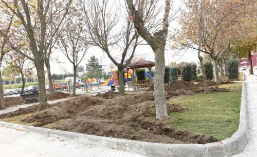 Çorum Kentpark’ta gül bahçesi oluşturuldu