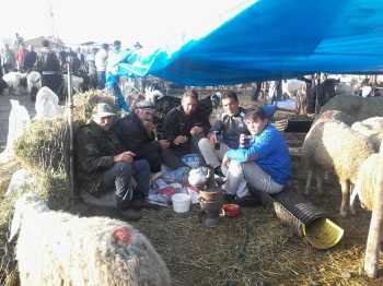 ÇORUM KURBAN PAZARI SON GÜNDE HAREKETLENDİ