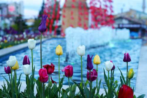 Çorum Ne kadar Mutlu - Ne  kadar mutsuz?