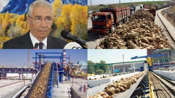 ÇORUM ŞEKERDE KAMPANYA SONA ERDİ