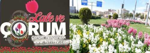 Çorum'u Lale ve Sümbül  Kokusu sardı