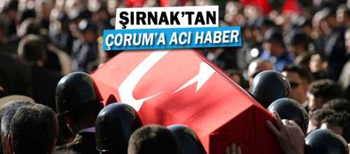 Çorum Uğurludağ İlçesi’ne nüfusuna kayıtlı Muş’da görevli olan, Sami Saygı (38) geçici görevle gittiği Şırnak’da şehit oldu