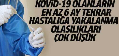 Covid-19 olanlar en az 6 ay hastalığa  yakalanmıyorlar