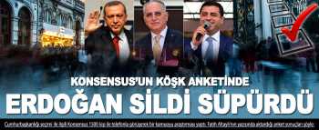 Cumhurbaşkanı anketinde Erdoğan sildi süpürdü