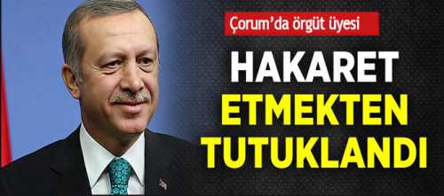 Cumhurbaşkanına Hakaret eden densiz Ceza evine gitti 