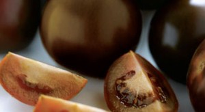 KAHVERENGİ DOMATES ÜRETİMİ BAŞLADI