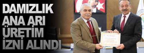 Damızlık Ana Arı Üretimi izni alındı