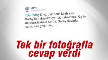 DEMİRTAŞ SEN TATİLE ÇIKTIĞINI NE ÇABUK UNUTTUN