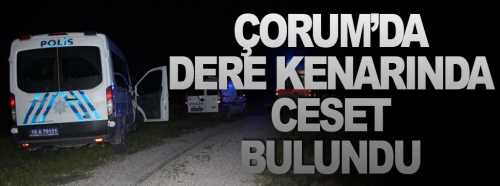 Dere kenarında bir erkek cesedi bulundu