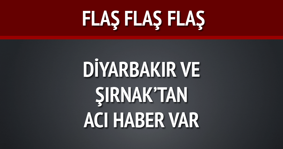 Diyarbakır ve Şırnak'ta 3 asker şehit