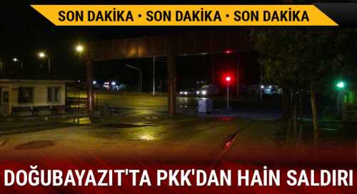  Doğubayazıt İlçesinde 7 Geçici Köy Korucusu  1 uzman çavuş şehit oldu