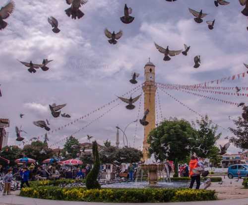 DOLANDIRICILAR ÇORUM'U MESKEN TUTTU  