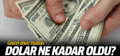 Dolar 11 TL'nin, Euro ise 13.30'un altına geriledi