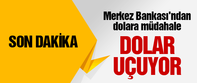 Dolar ne kadar? Bir rekor daha!