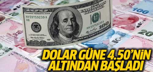 Dolar/TL, güne 4.50'nin altından başladı
