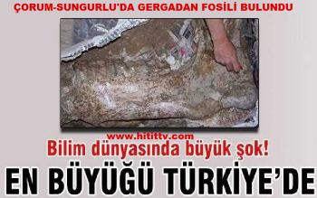 Dünyanın En büyük fosili Çorum'da  çıktı