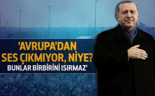 Erdoğan: Bunlar birbirini ısırmaz