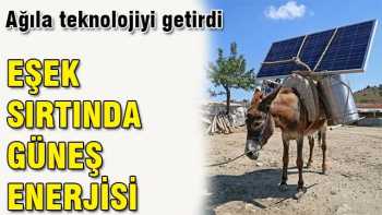 Eşek sırtında güneş enerjisinden yararlanıyorlar