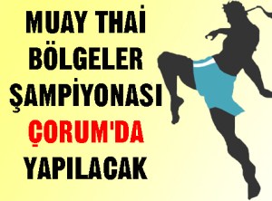 Bölgeler Şampiyonası  Çorum'da  