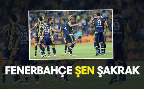 Fenerbahçe, Spor Toto Süper Lig'in 29. haftasında Mersin İdmanyurdu'nu 4-1 yenerek 3 maç sonra kazanmayı başardı.