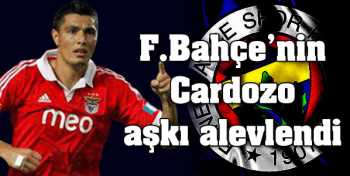 Fenerbahçe'nin Benfica'da bitmeyen aşk'ı