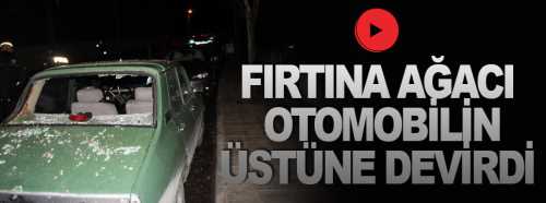 Fırtına Çorum'da bir ağacı otomobilin üstüne devirdi