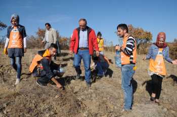 Genç TEMA Çorum’da meşe palamudu dikti