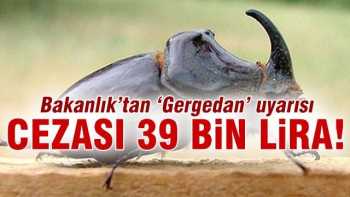 Gergedan böceği toplayana 39 bin lira ceza var