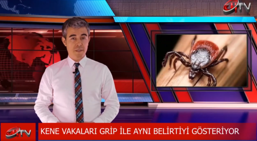 Havaların ısınmasıyla birlikte Kene Vakası Görülmeye Başladı!