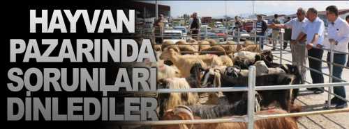 Hayvan Pazarında sorunları dinledi 