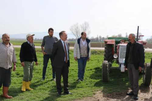 Hayvancılık için Meralarımızı Islah Etmemiz Şart