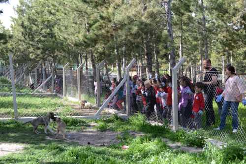 Hayvanlar çocukların ilgi odağı oldu